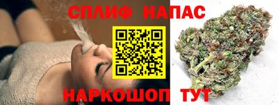 мдпв Моздок