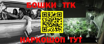 PSILOCYBIN Можга