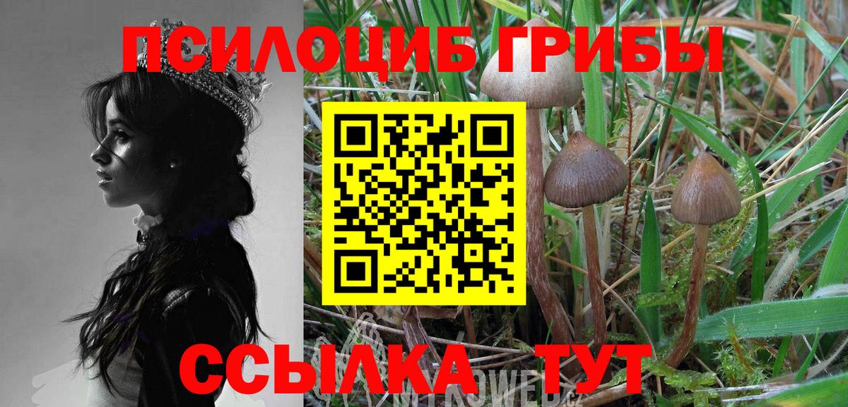 Псилоцибиновые грибы ЛСД Унеча