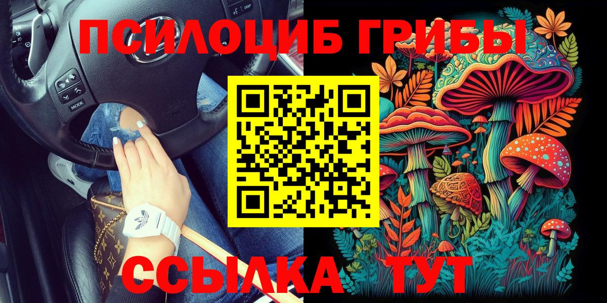 Псилоцибиновые грибы прущие грибы  Галлюциногенные грибы мухоморы  Вход с VPN  Унеча 